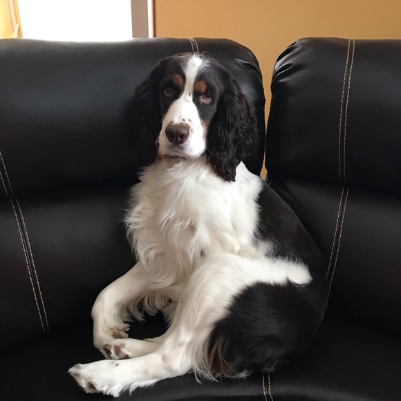 Meet your Posher, Chris - Picture 1 of 1